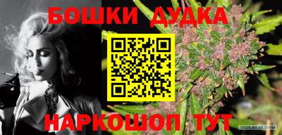 ГАЛЛЮЦИНОГЕННЫЕ ГРИБЫ Будённовск