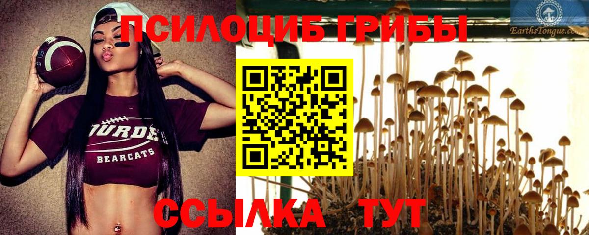 Сибай  Псилоцибиновые грибы GOLDEN TEACHER  Вход с VPN 