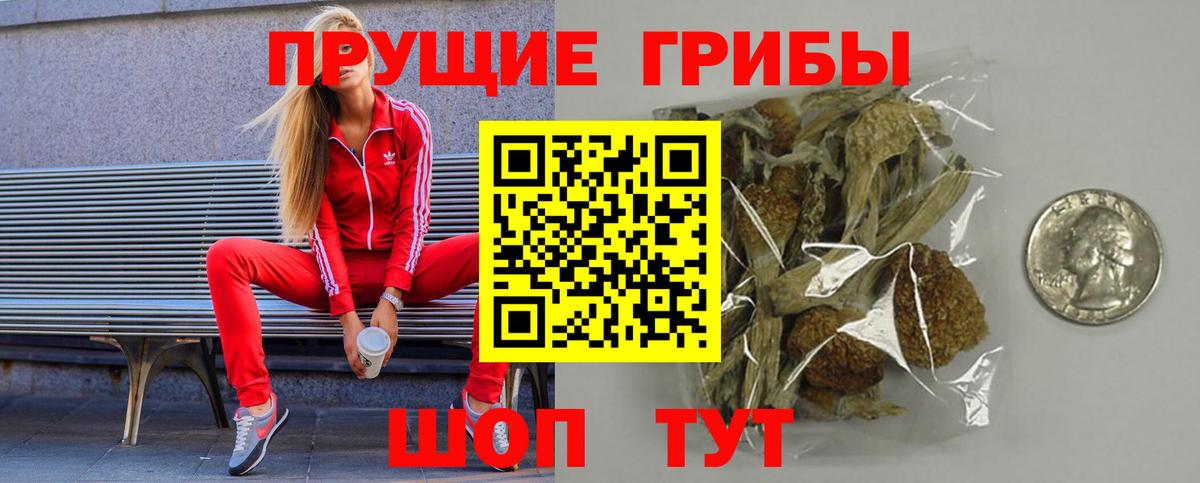 Псилоцибиновые грибы Psilocybe Сибай
